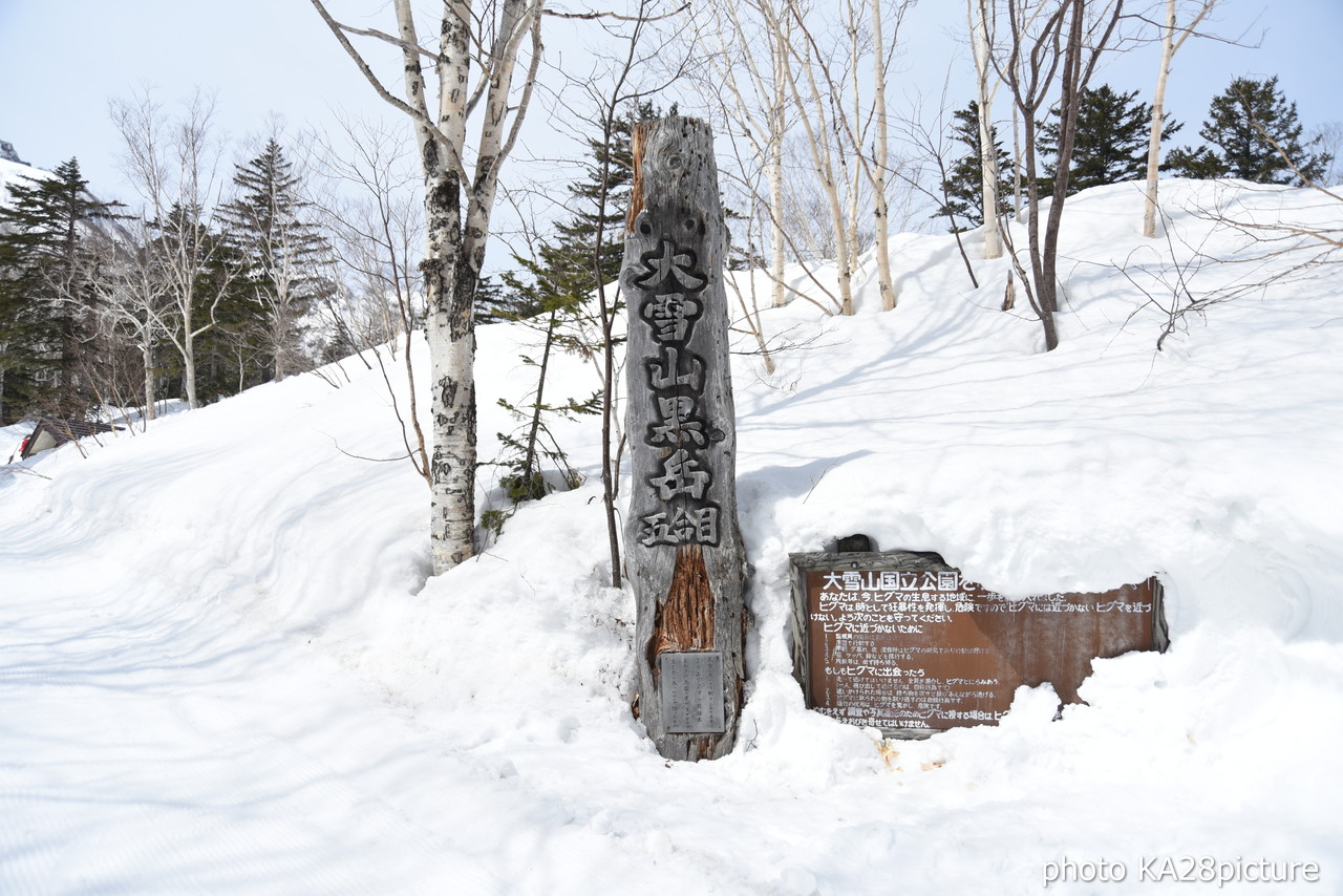 大雪山層雲峡黒岳ロープウェイスキー場　積雪 380cm！標高1,984ｍの黒岳山頂から大斜面にシュプールを描く(*^^)v 